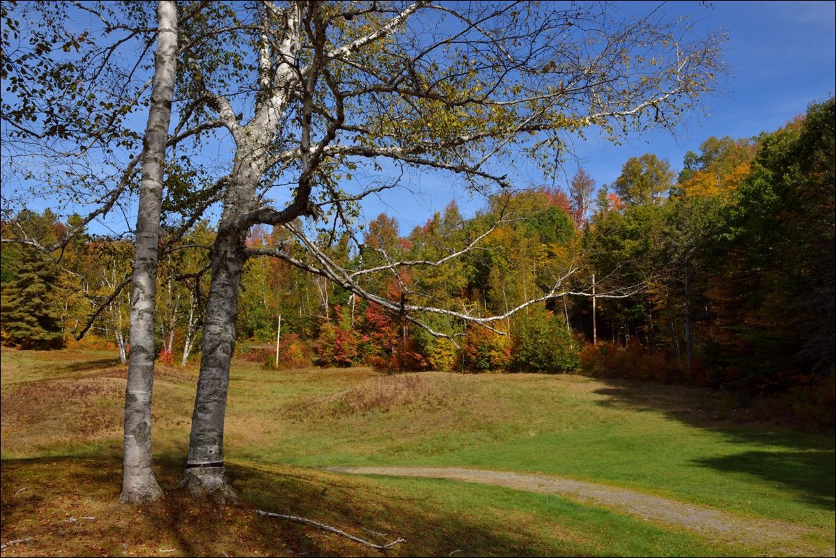 休闲随拍（301）