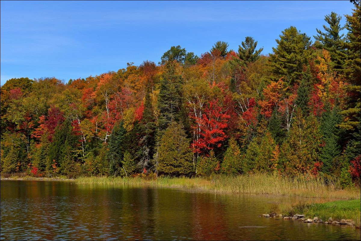 休闲随拍（301）