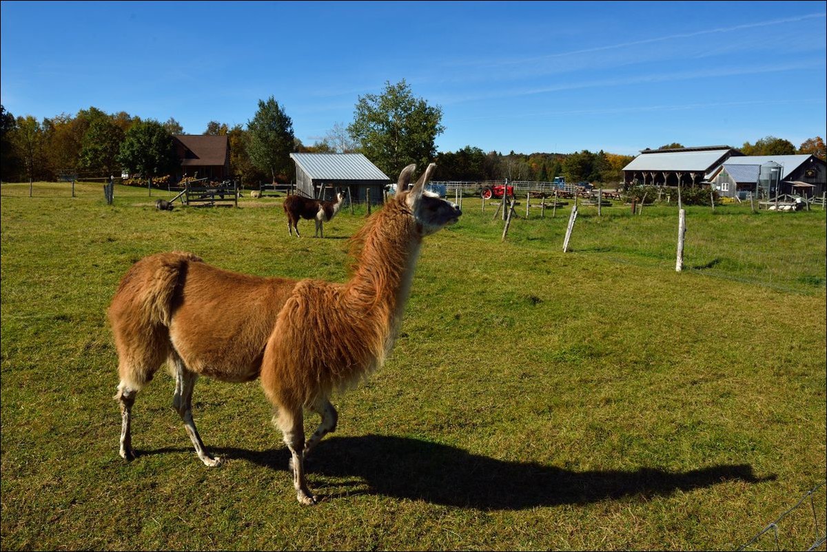 休闲随拍（301）