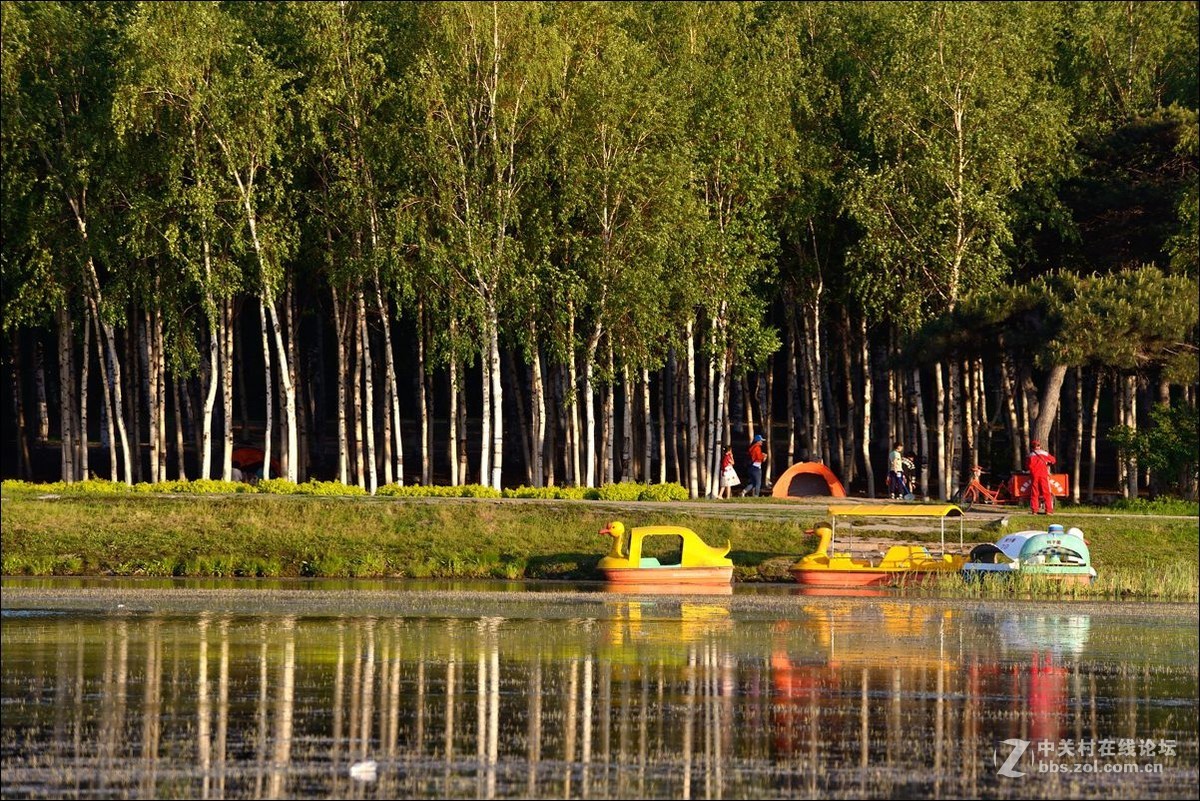 休闲随拍（336）