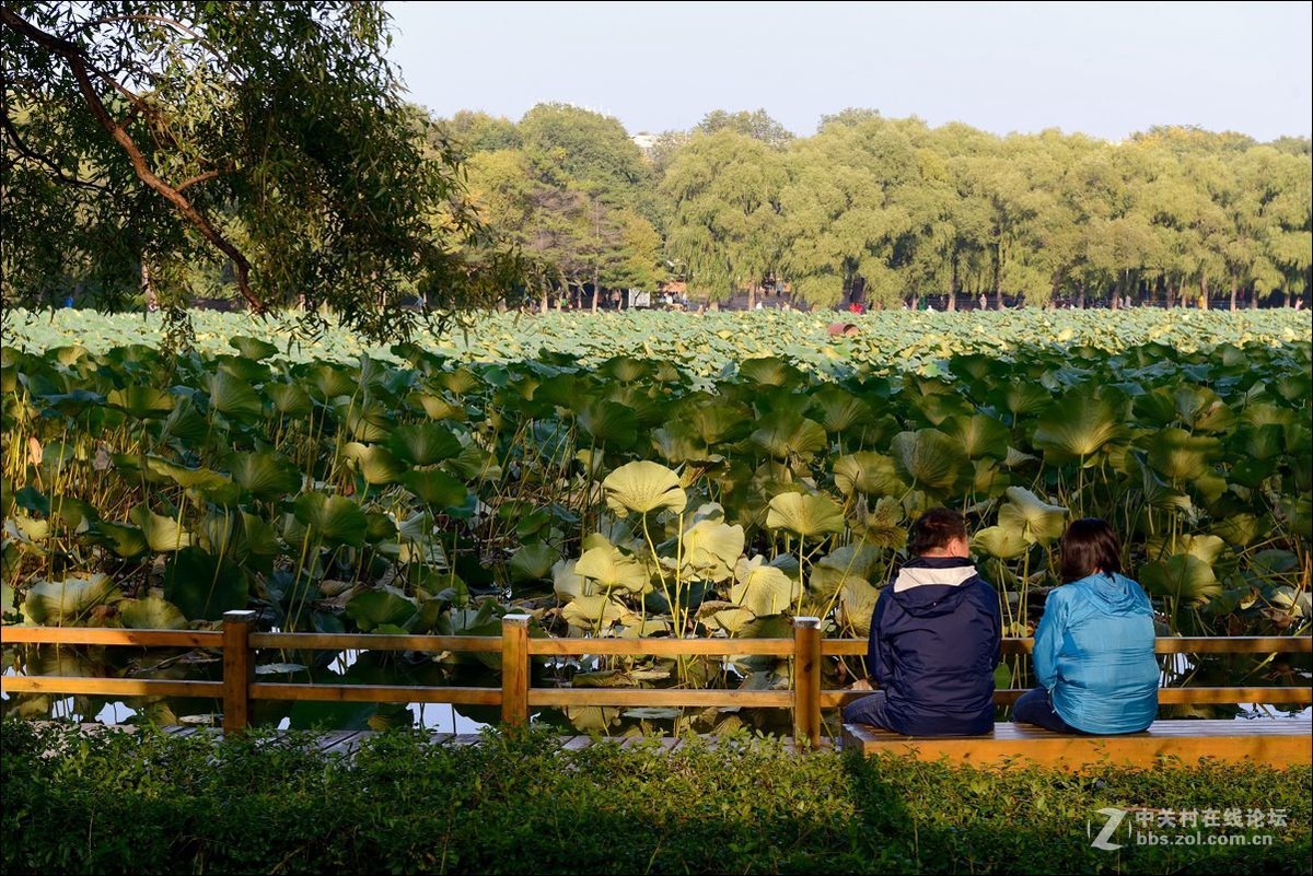 休闲随拍（336）