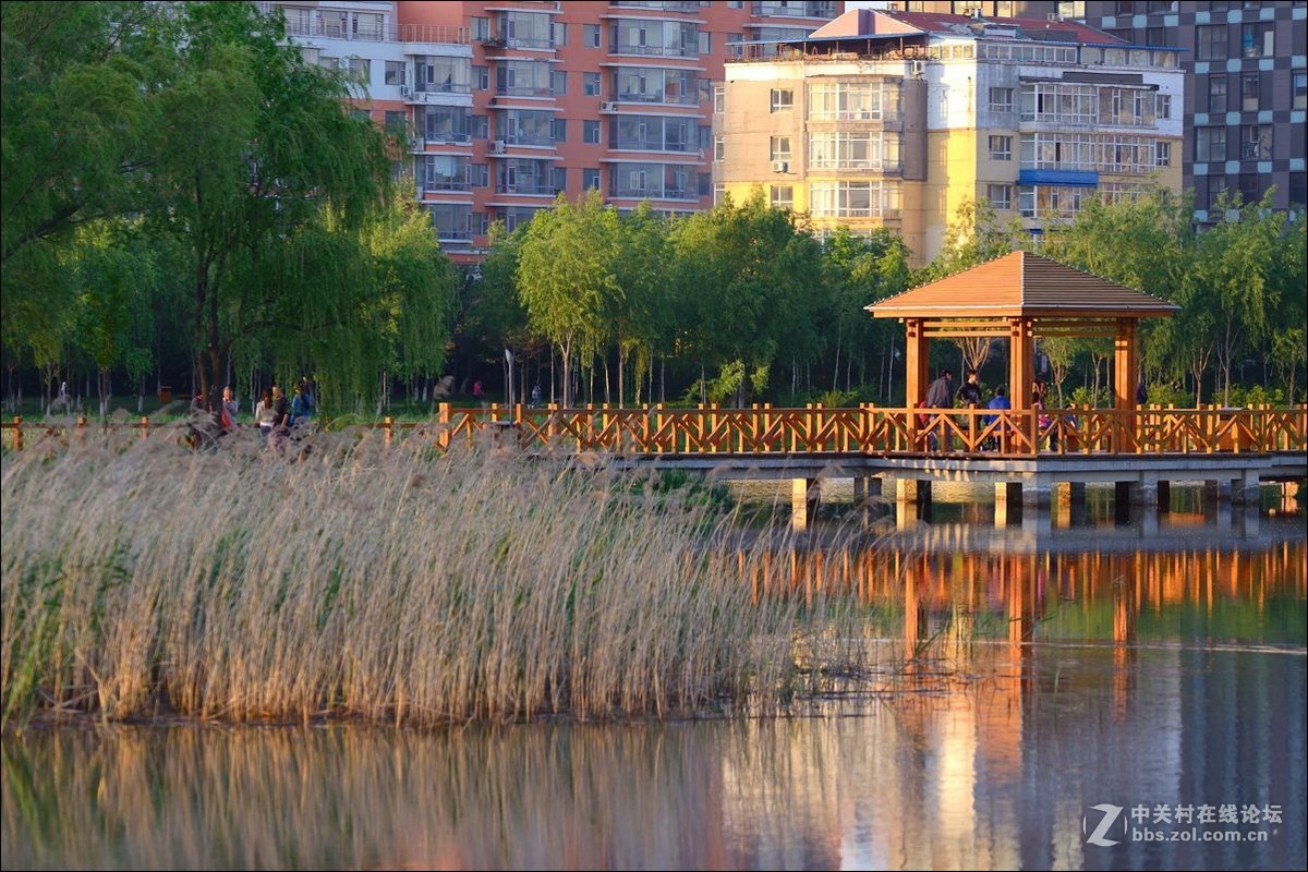 休闲随拍（336）