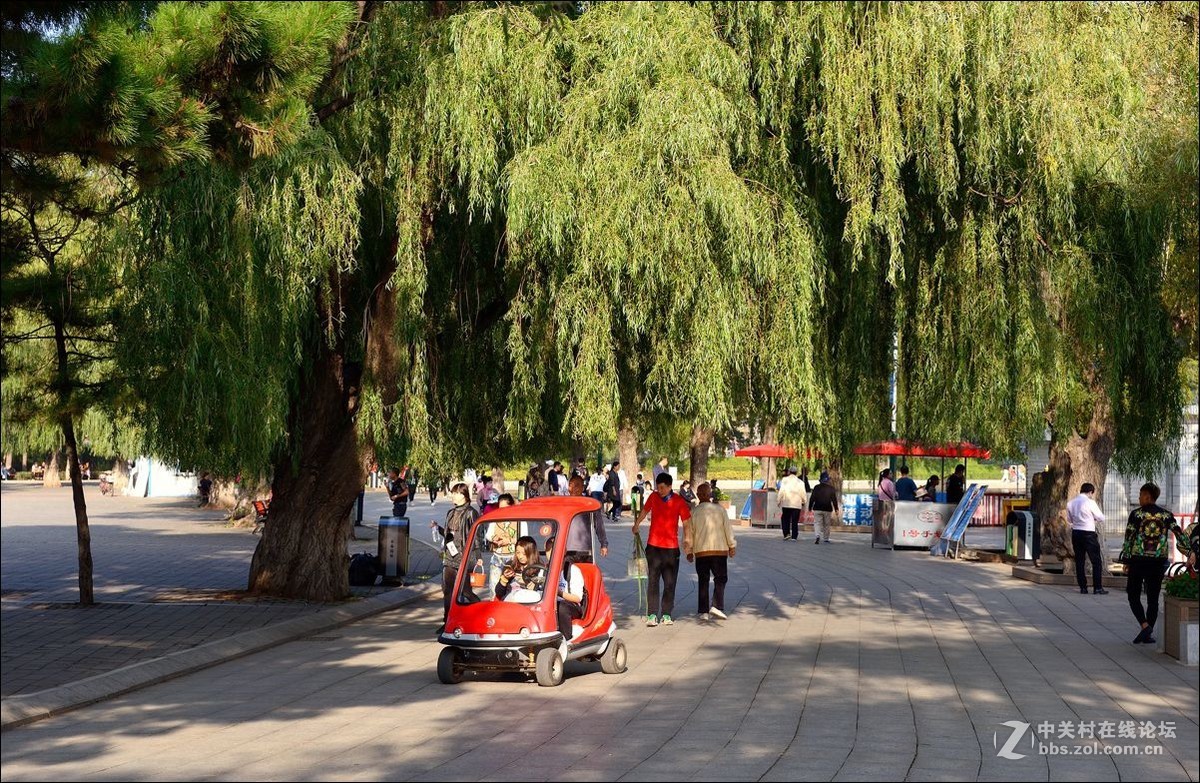 休闲随拍（336）