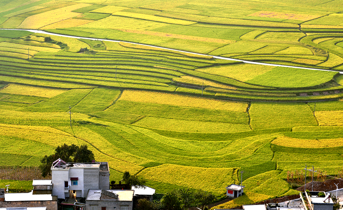 家乡风景之：《金秋、夕阳下的海庄田园》。