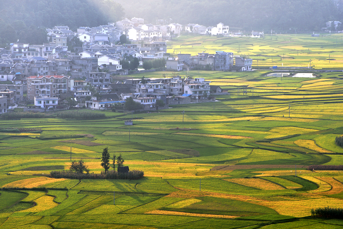家乡风景之：《金秋、夕阳下的海庄田园》。