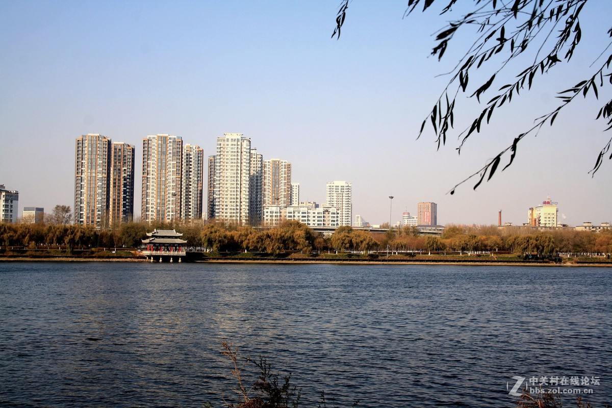 沈阳今日浑河景------2015.11.17日 长白岛森林公园浑河南岸的拍摄习作分享
