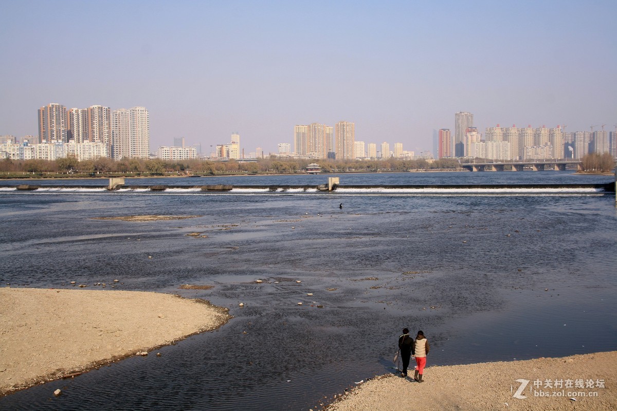 沈阳今日浑河景------2015.11.17日 长白岛森林公园浑河南岸的拍摄习作分享
