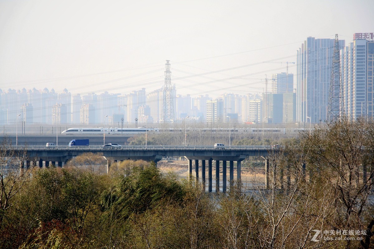 沈阳今日浑河景------2015.11.17日 长白岛森林公园浑河南岸的拍摄习作分享
