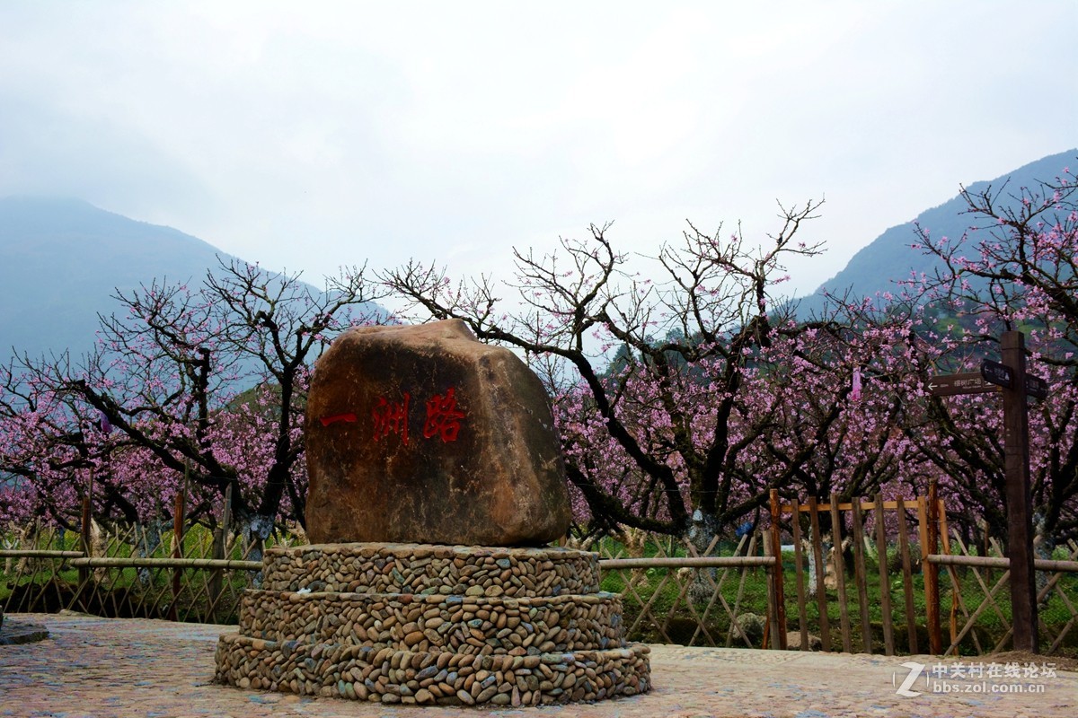 春天的气息从廉村到虎头村