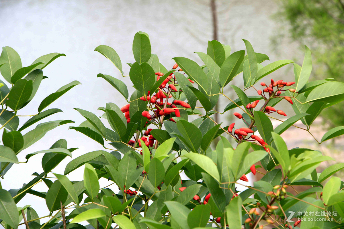 五一随拍 （一）