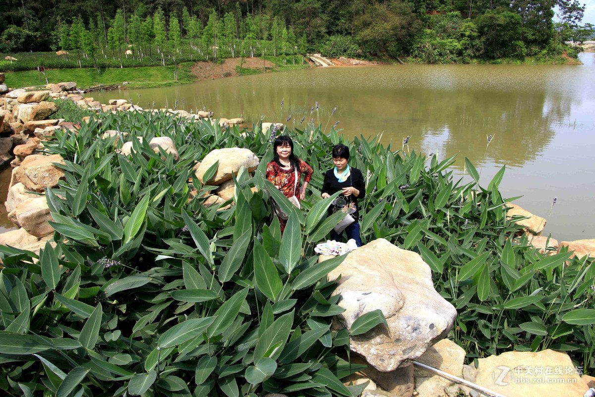 五一随拍 （一）