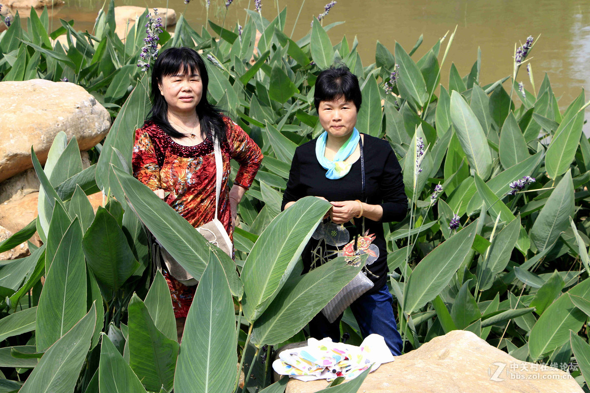 五一随拍 （一）