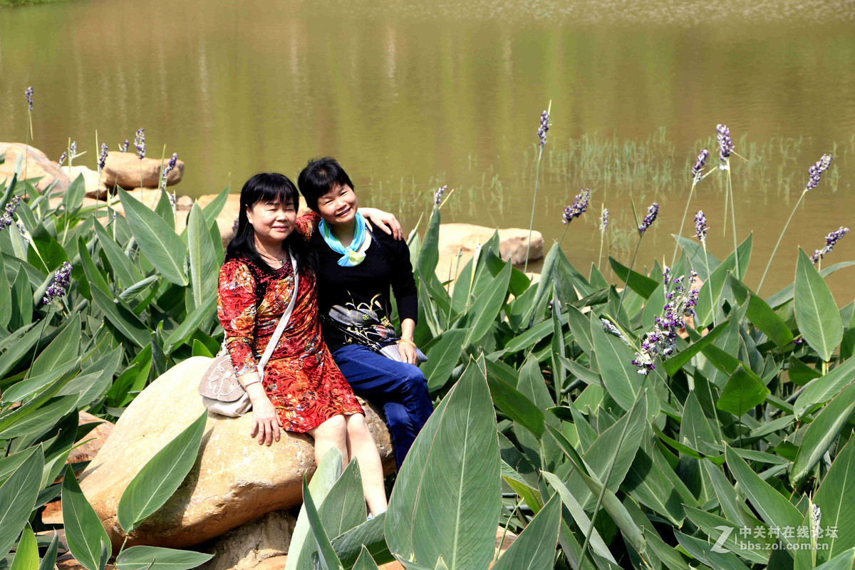 五一随拍 （一）