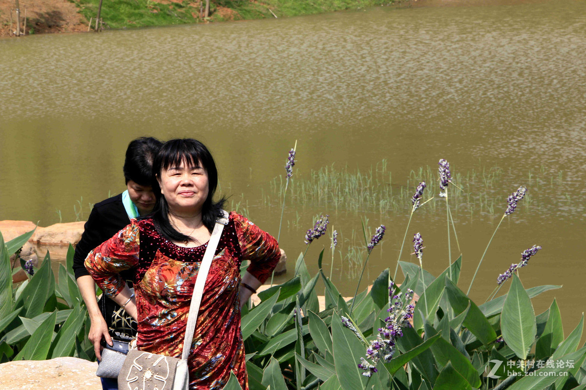 五一随拍 （一）