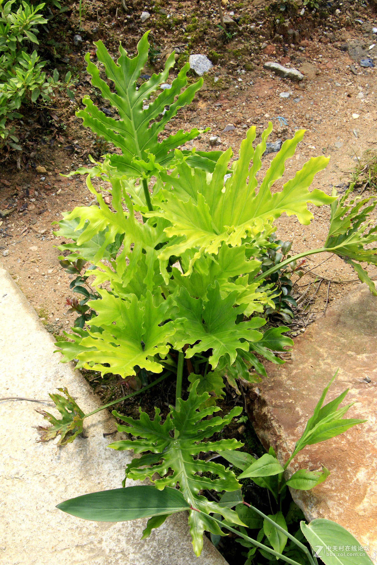 五一随拍（二）