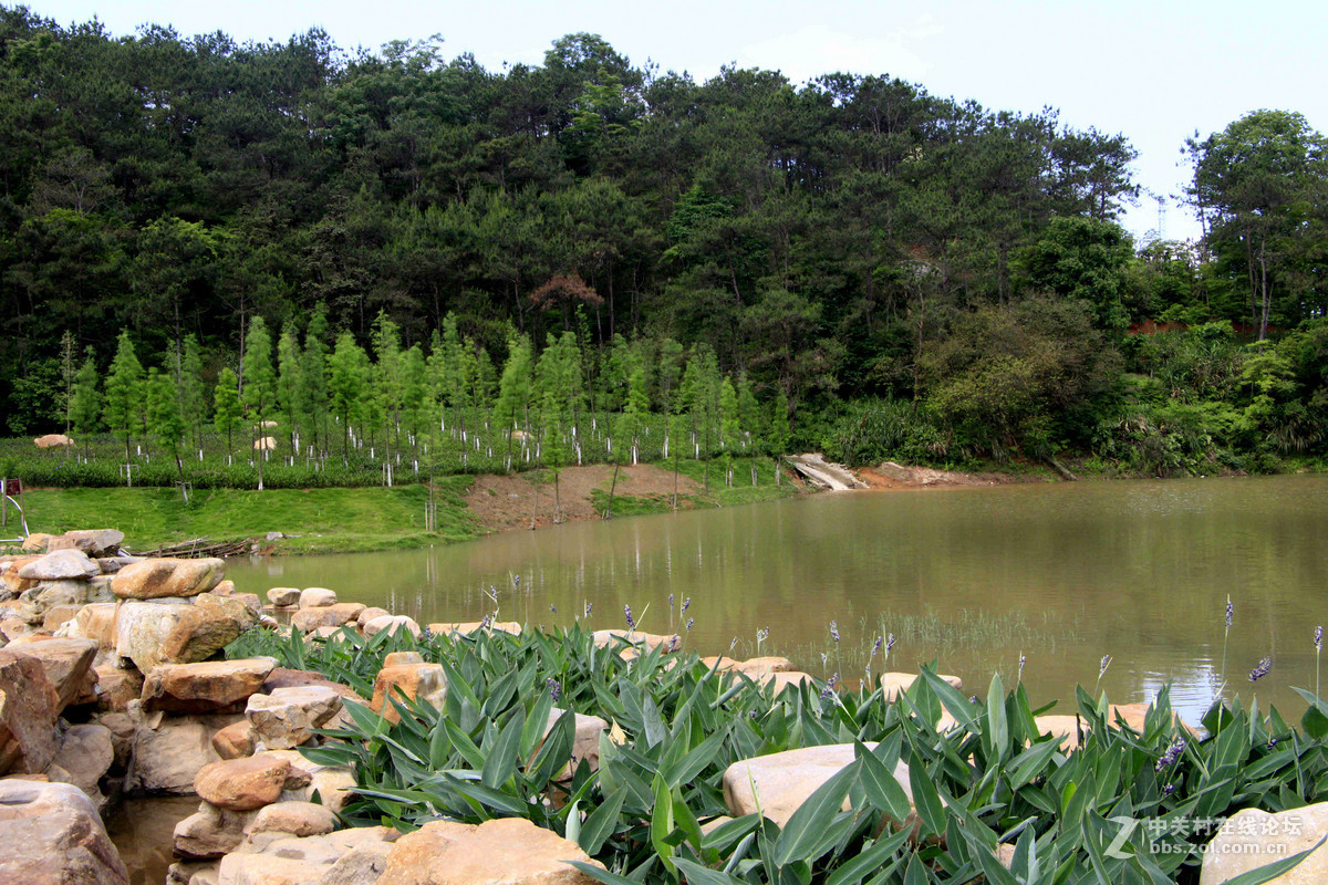 五一随拍（二）