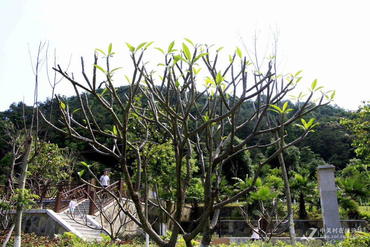 五一随拍（二）