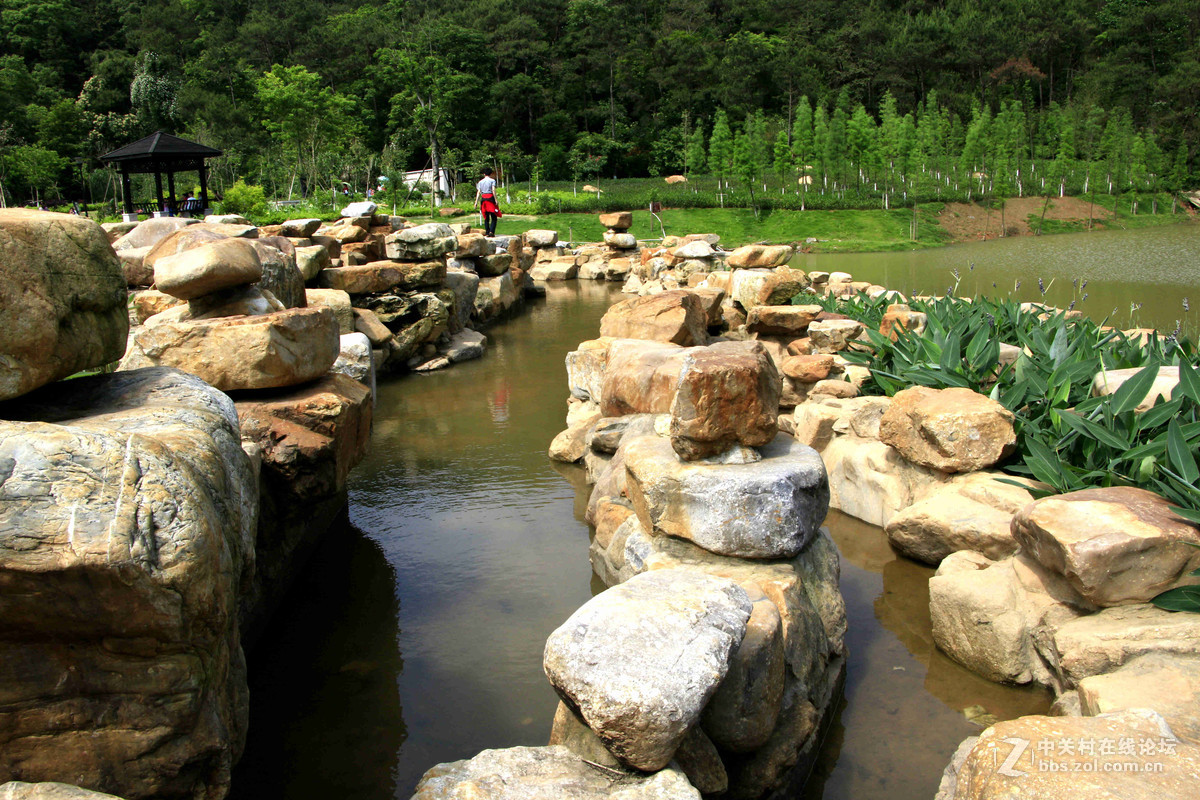 五一随拍 （一）