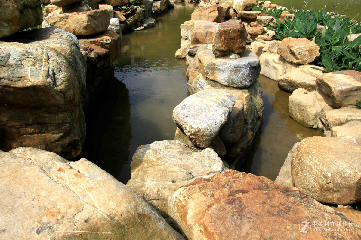 五一随拍 （一）