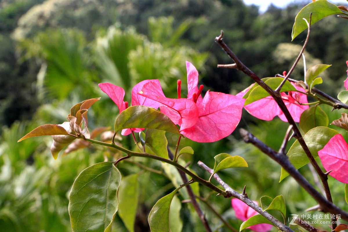 五一随拍（二）