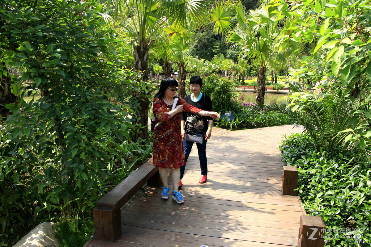 五一随拍（二）