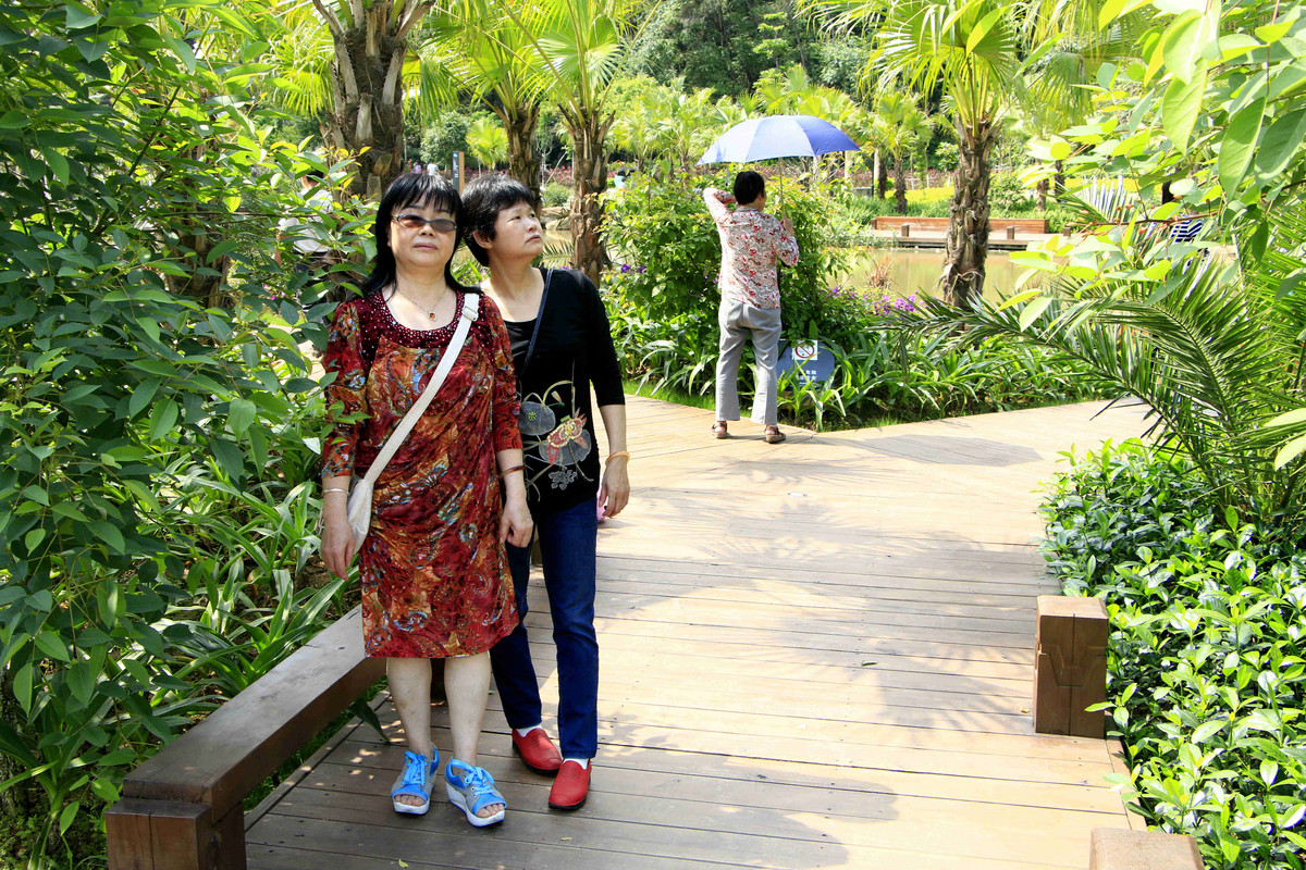 五一随拍（二）