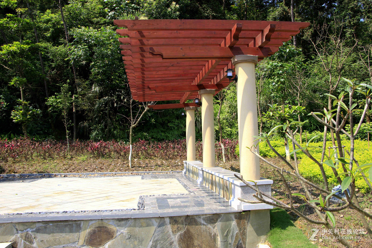 五一随拍（二）