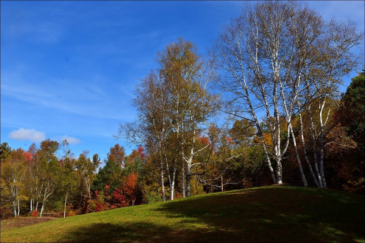 休闲随拍（301）