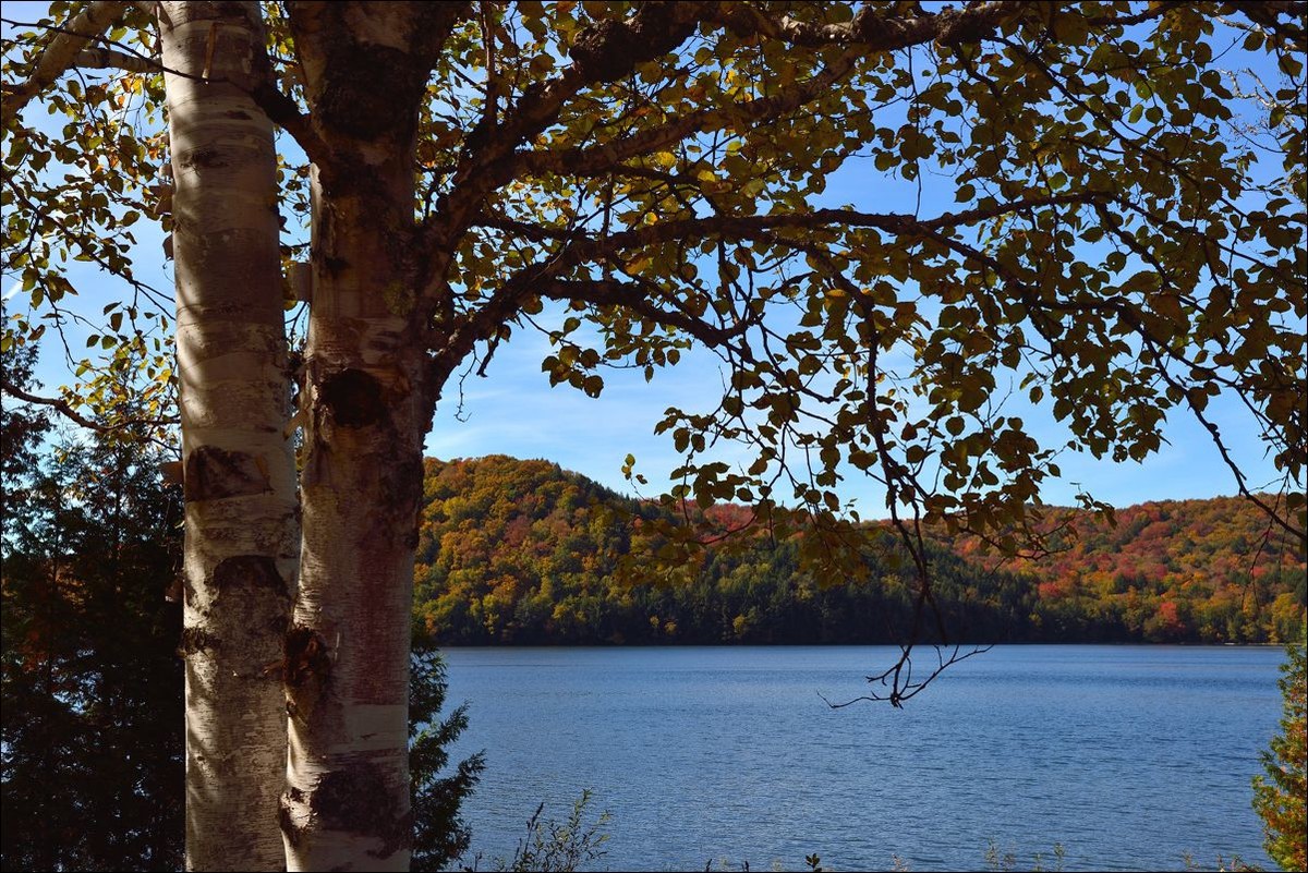 休闲随拍（301）