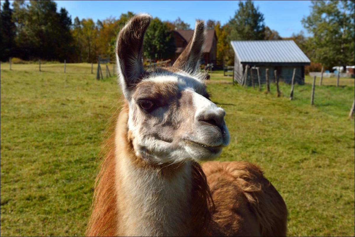 休闲随拍（301）