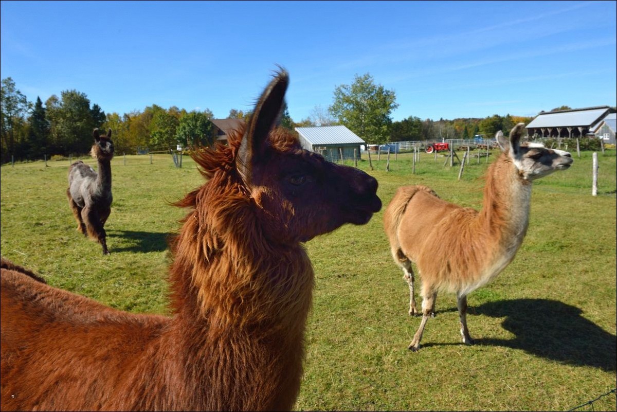 休闲随拍（301）