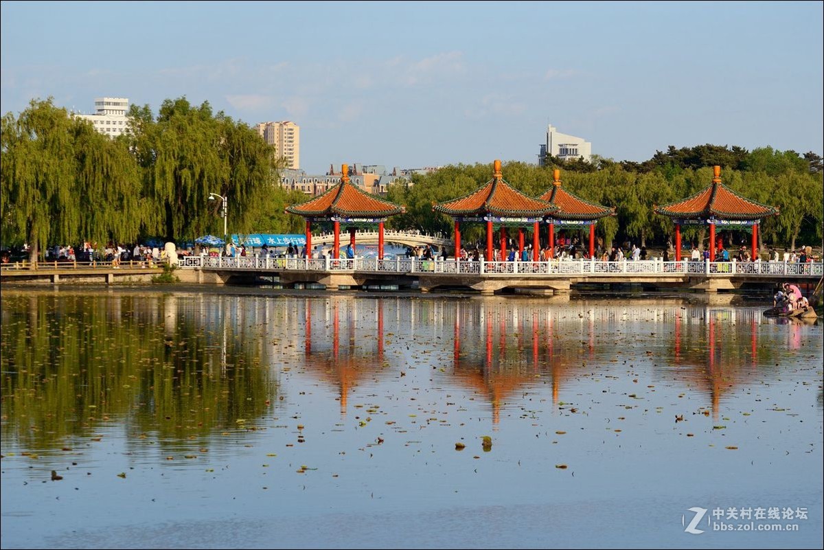 休闲随拍（336）