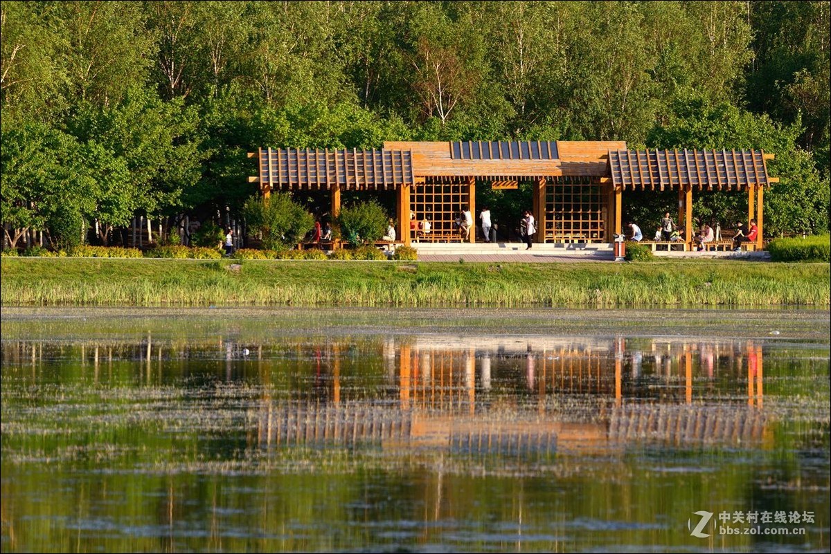 休闲随拍（336）