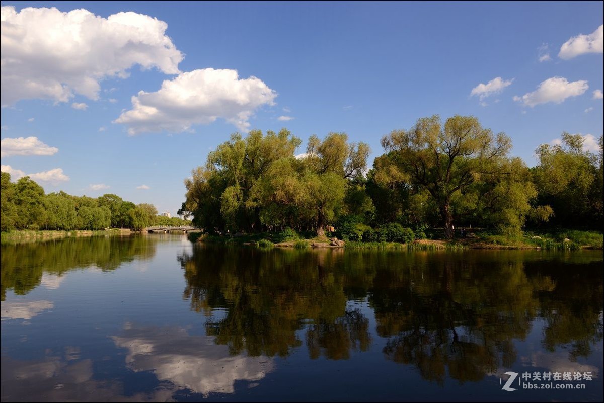 休闲随拍（336）