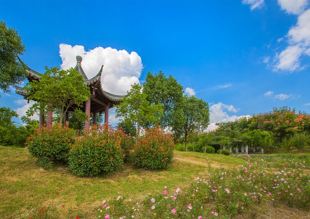 20191207扬州芍药园秋色