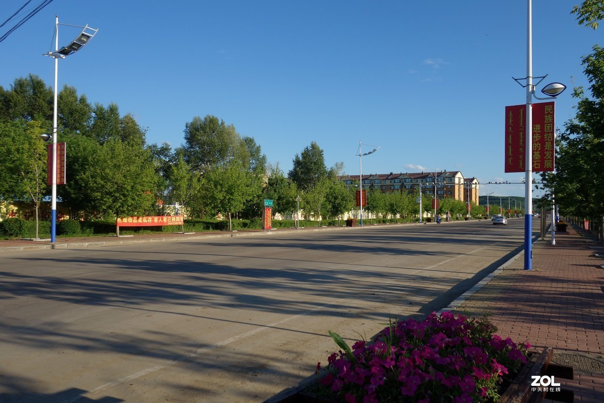 遛弯【单片机随拍】{2}