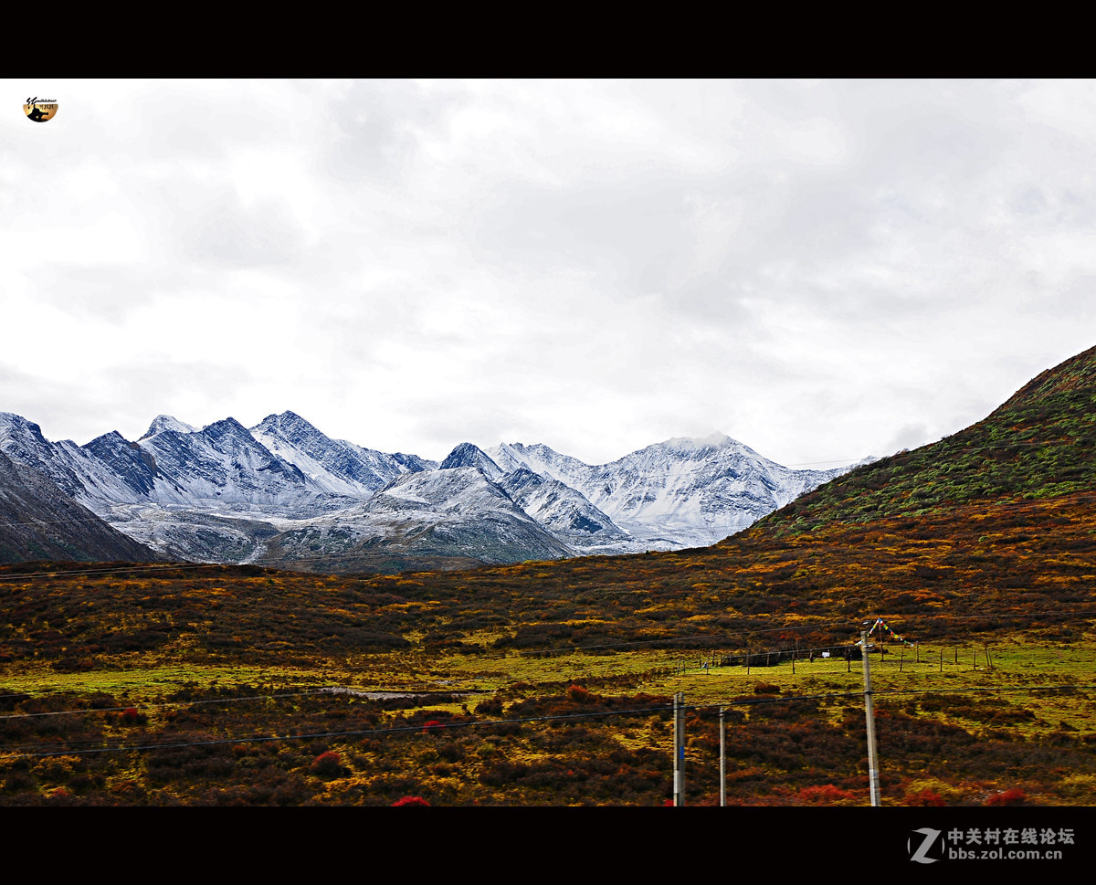 游历-四川行-黄龙
