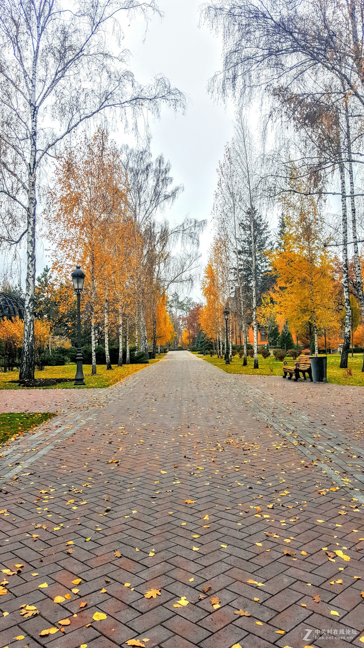 星空体育平台Note 5晚秋乌克兰前总统的官邸（一）