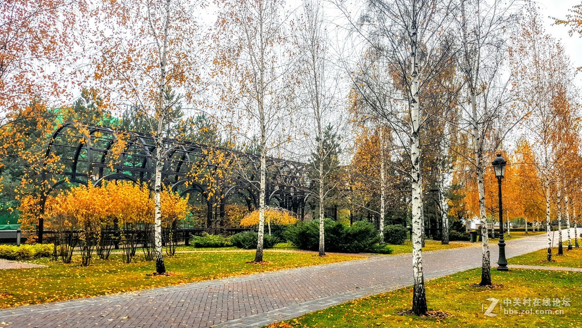 星空体育平台Note 5晚秋乌克兰前总统的官邸（一）