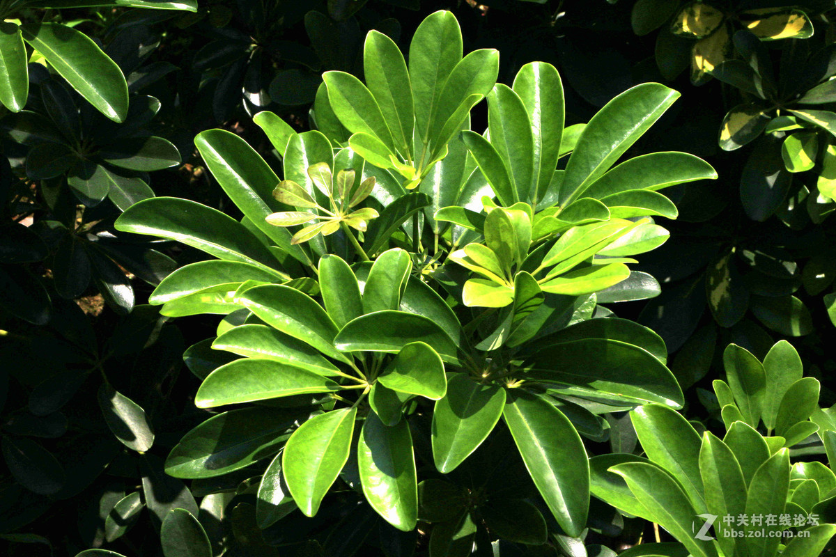 五一随拍（三）