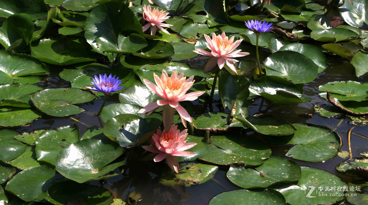 五一随拍（三）