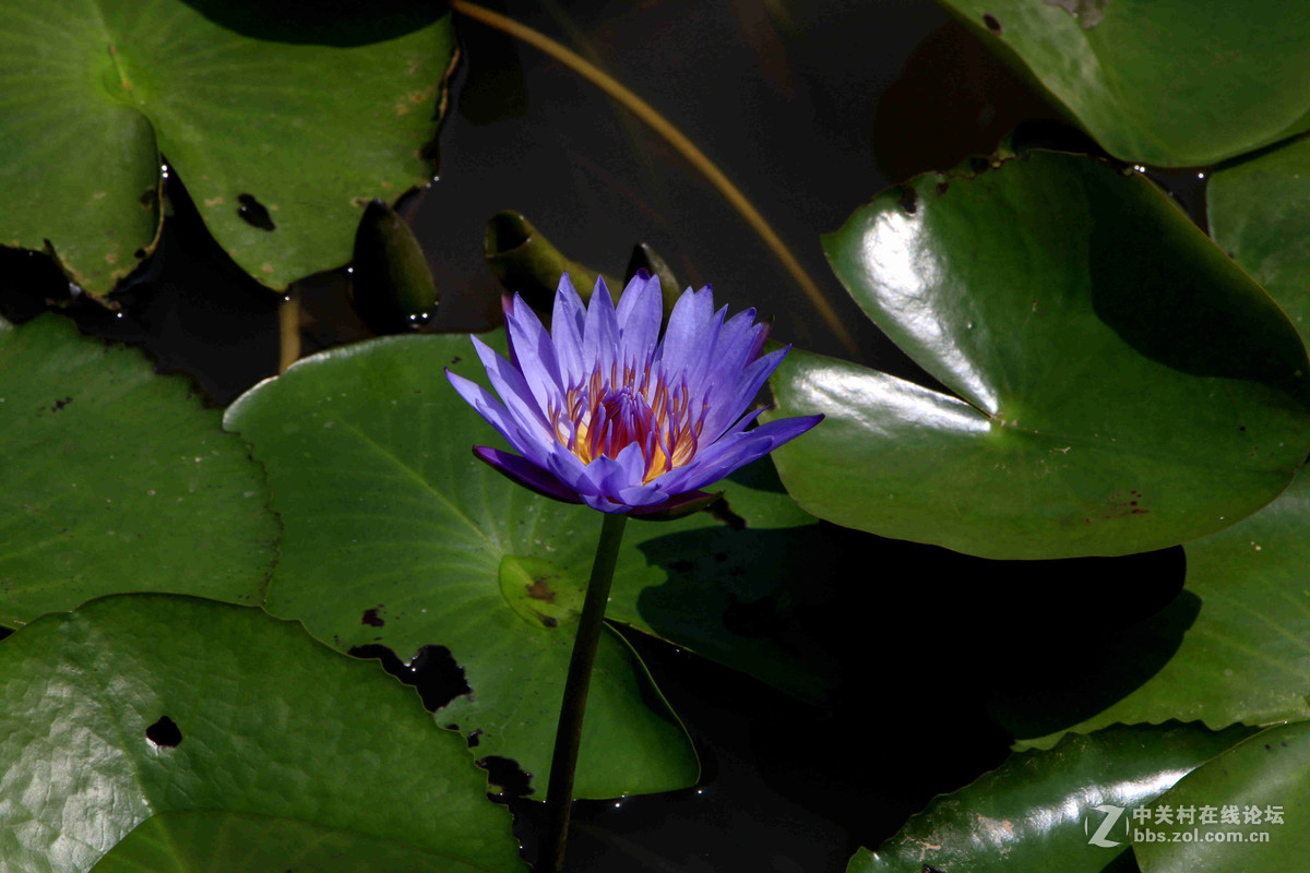 五一随拍（三）