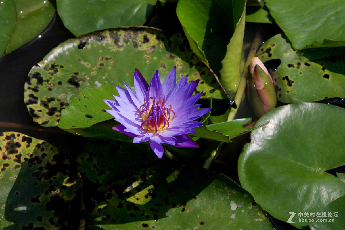 五一随拍（三）