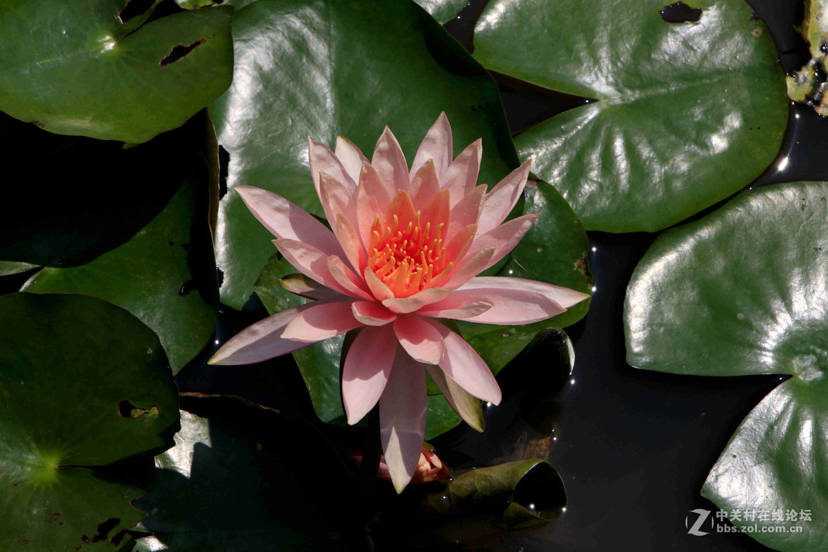 五一随拍（三）