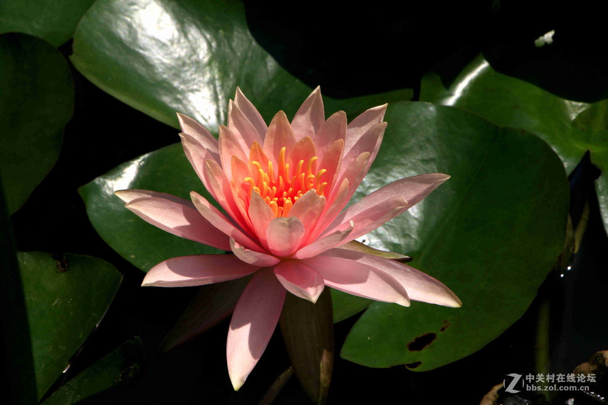 五一随拍（三）