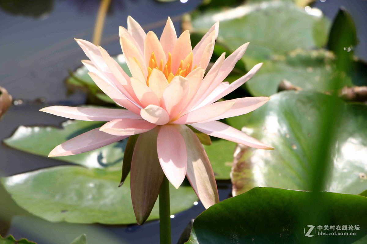 五一随拍（三）