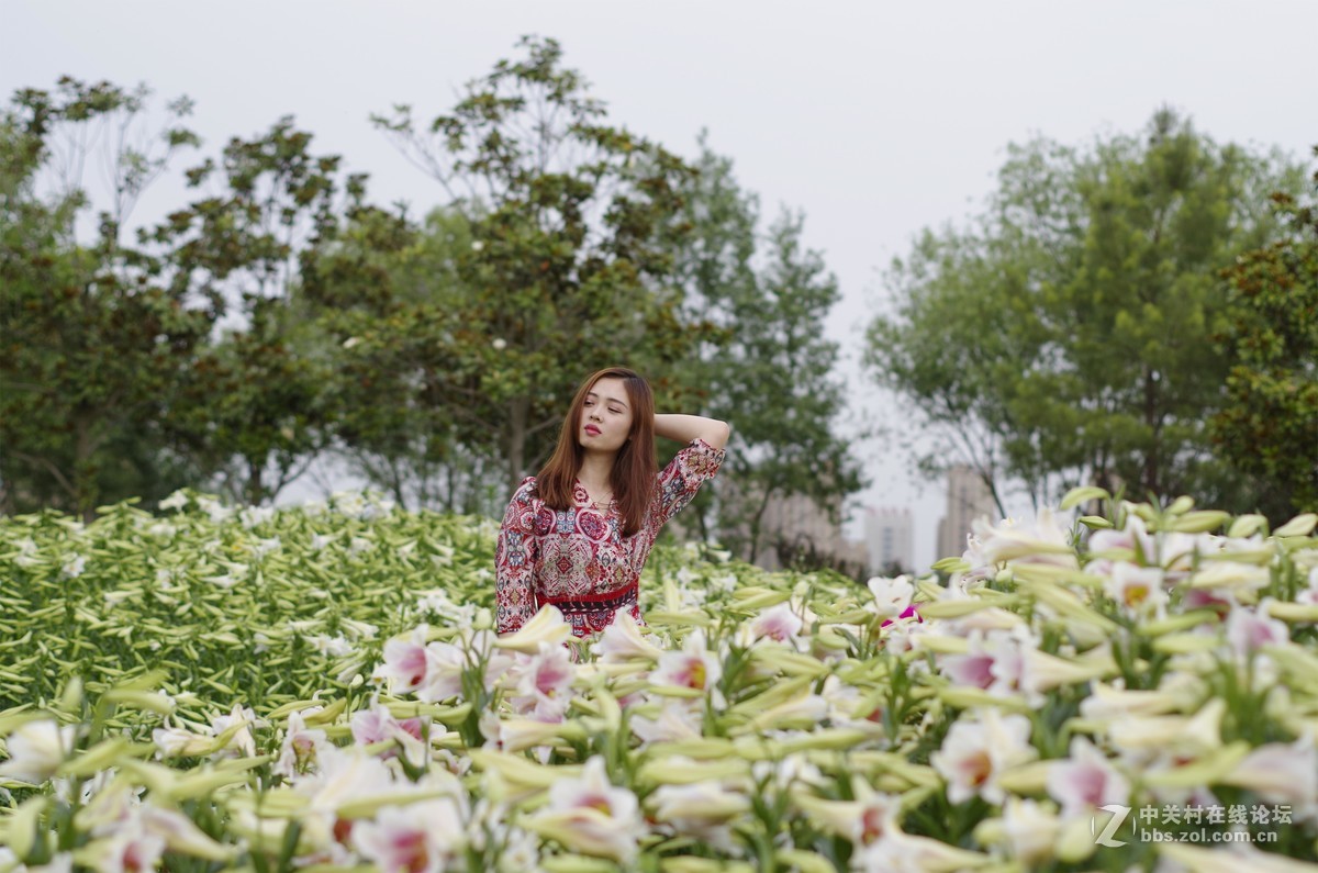 与女神一起去看百合花海