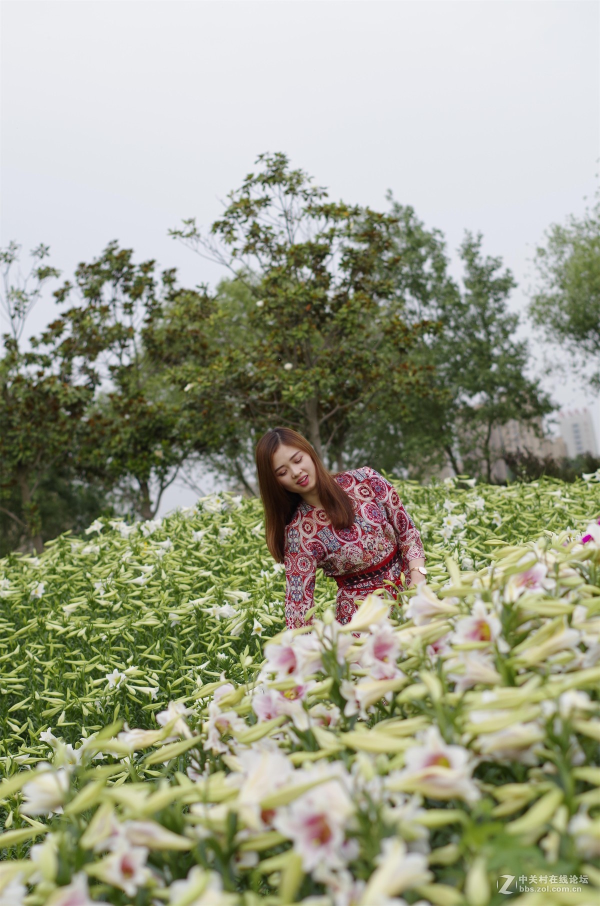 与女神一起去看百合花海