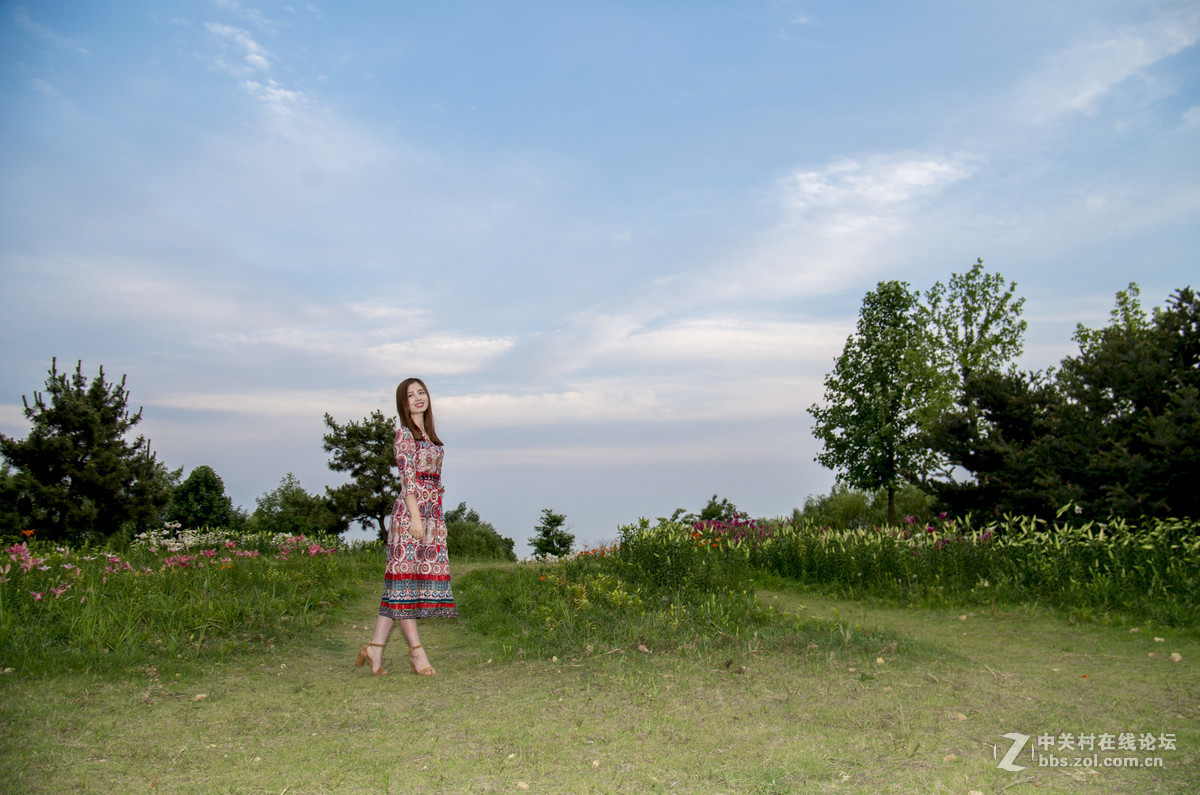 与女神一起去看百合花海