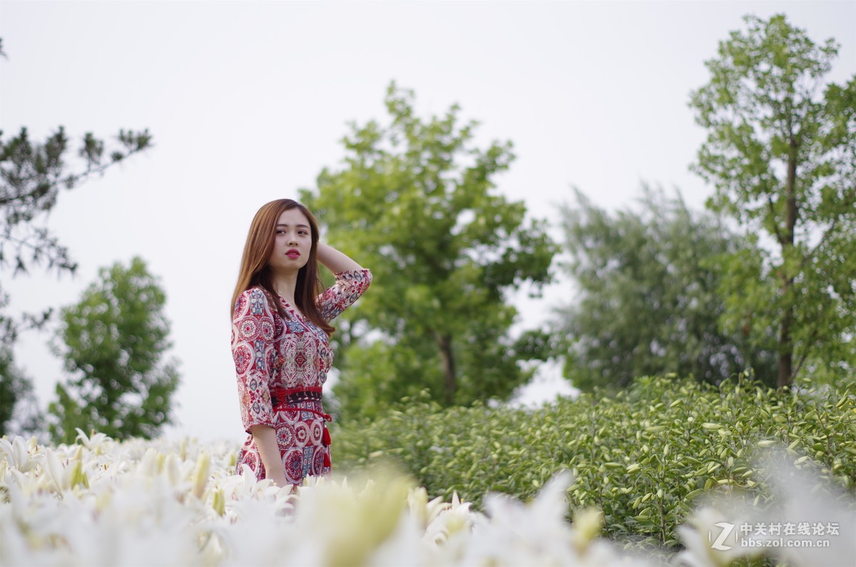 与女神一起去看百合花海